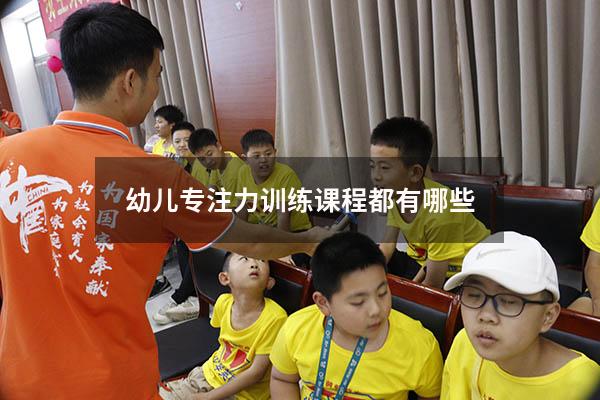 幼儿专注力训练课程都有哪些