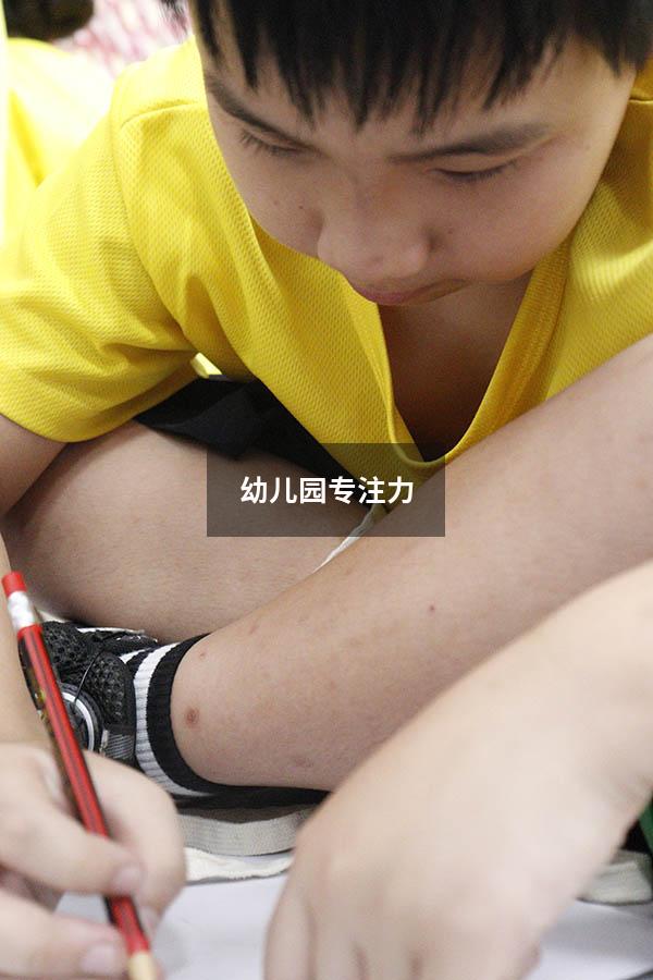 幼儿园专注力
