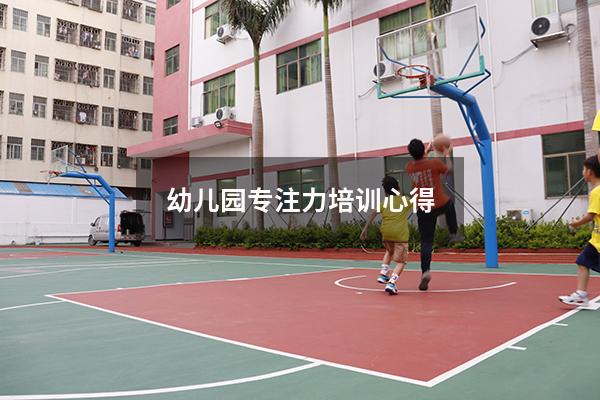 幼儿园专注力培训心得