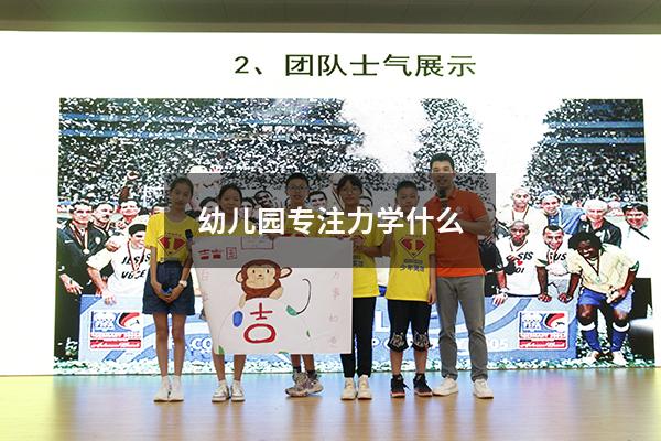 幼儿园专注力学什么