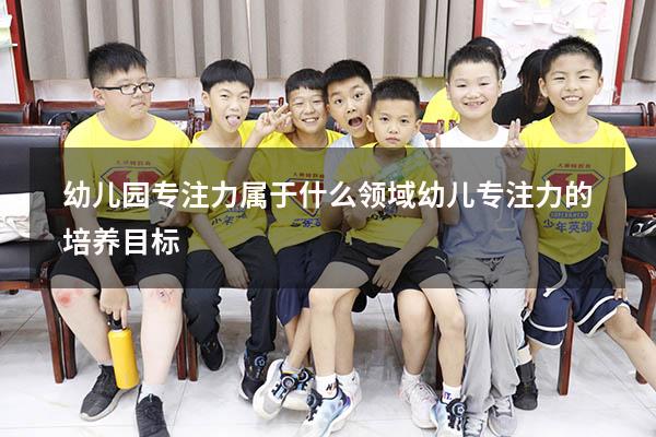 幼儿园专注力属于什么领域（幼儿专注力的培养目标）