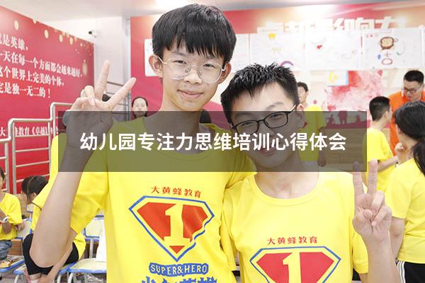 幼儿园专注力思维培训心得体会