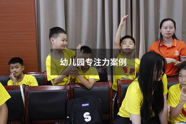 幼儿园专注力案例