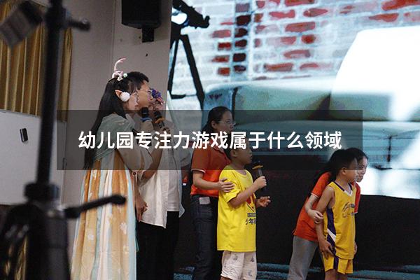幼儿园专注力游戏属于什么领域