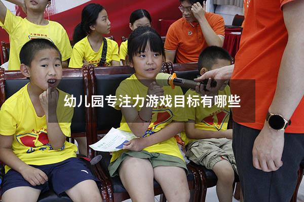 幼儿园专注力游戏目标有哪些