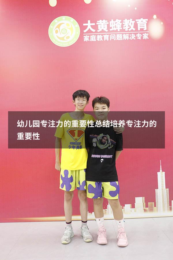 幼儿园专注力的重要性总结（培养专注力的重要性）