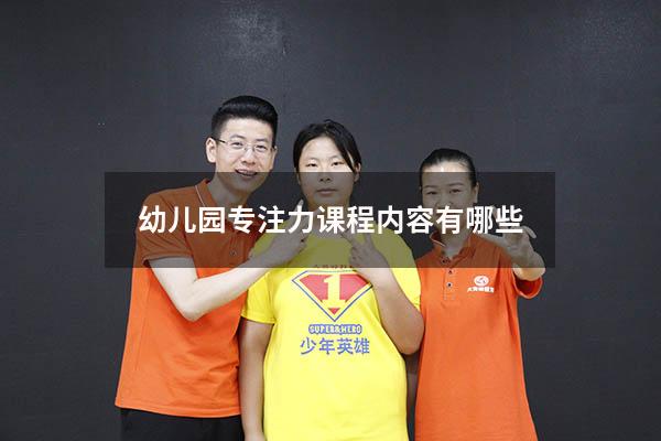 幼儿园专注力课程内容有哪些