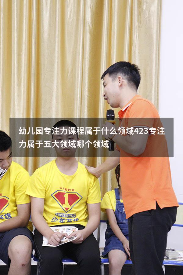 幼儿园专注力课程属于什么领域423（专注力属于五大领域哪个领域）