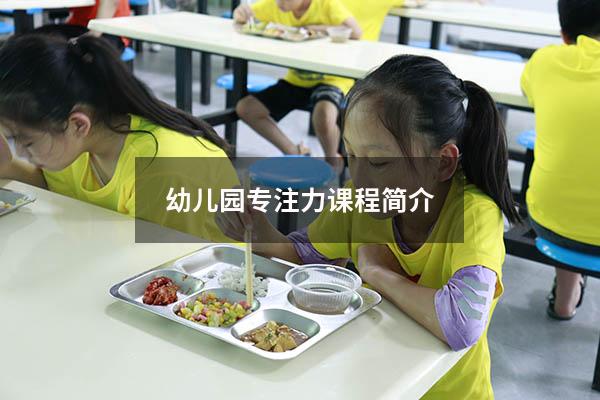 幼儿园专注力课程简介