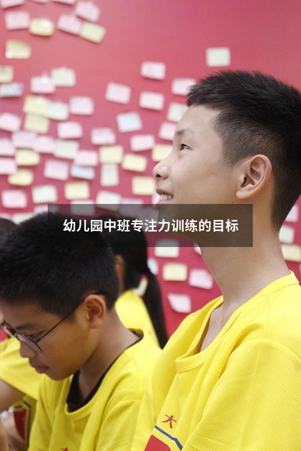 幼儿园中班专注力训练的目标