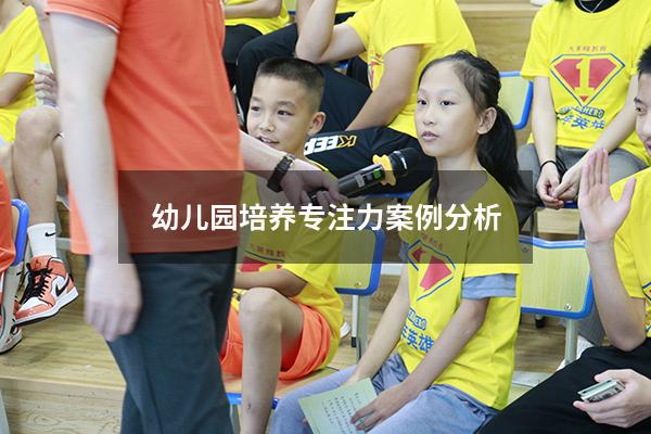 幼儿园培养专注力案例分析