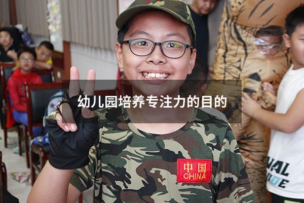 幼儿园培养专注力的目的