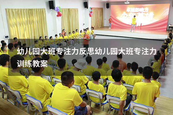 幼儿园大班专注力反思（幼儿园大班专注力训练教案）