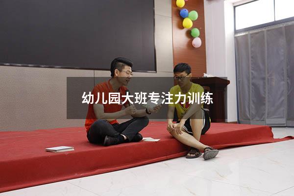 幼儿园大班专注力训练