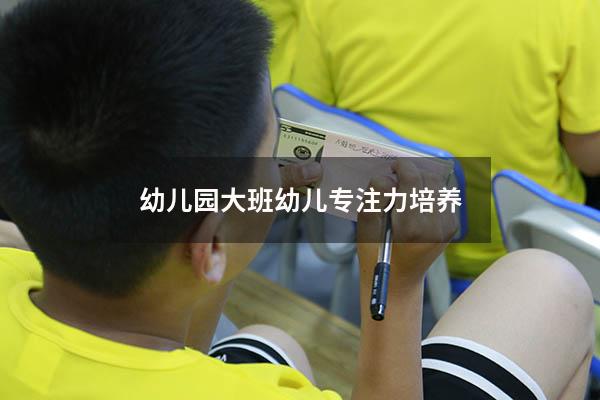 幼儿园大班幼儿专注力培养