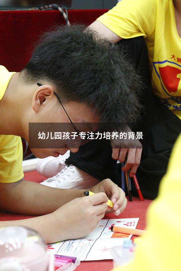 幼儿园孩子专注力培养的背景