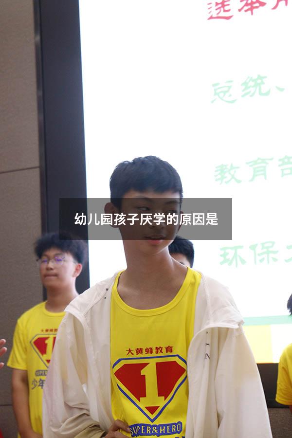 幼儿园孩子厌学的原因是