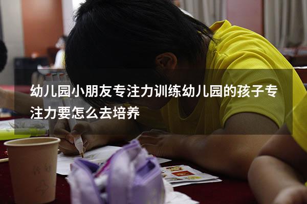 幼儿园小朋友专注力训练（幼儿园的孩子专注力要怎么去培养）