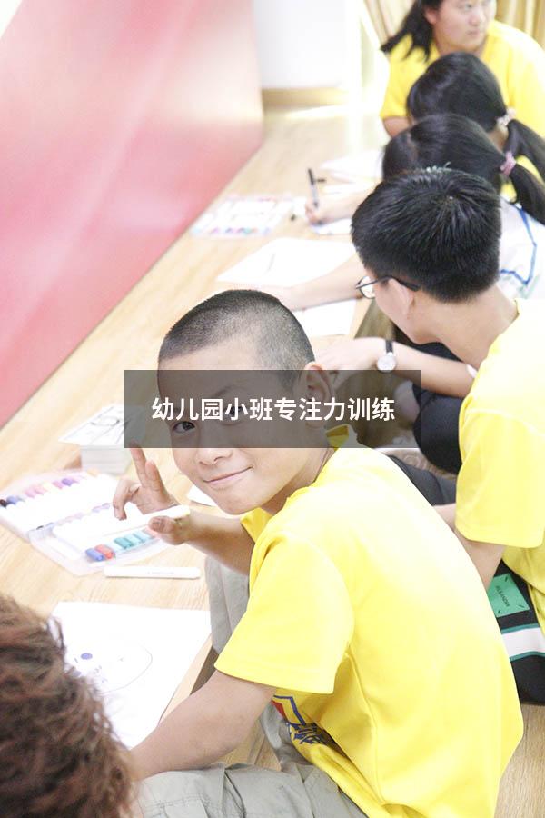 幼儿园小班专注力训练