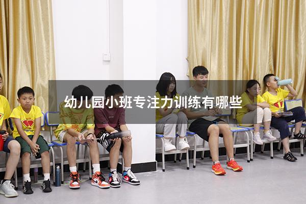幼儿园小班专注力训练有哪些