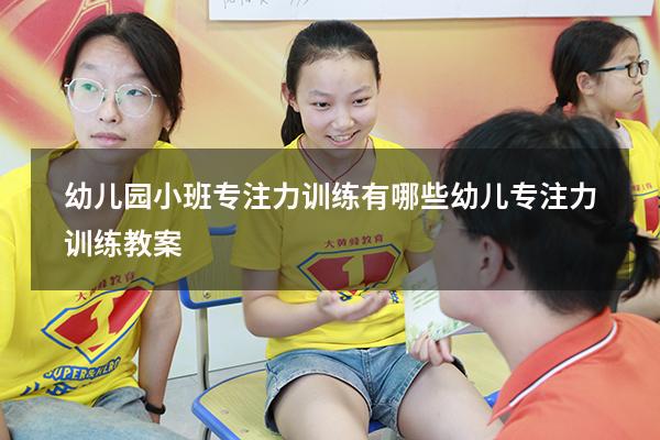 幼儿园小班专注力训练有哪些（幼儿专注力训练教案）