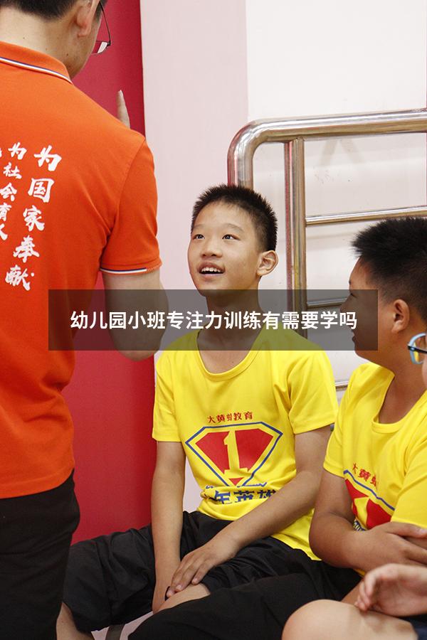 幼儿园小班专注力训练有需要学吗
