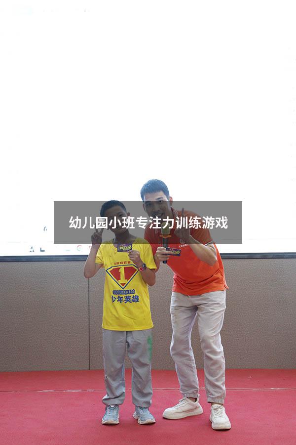 幼儿园小班专注力训练游戏