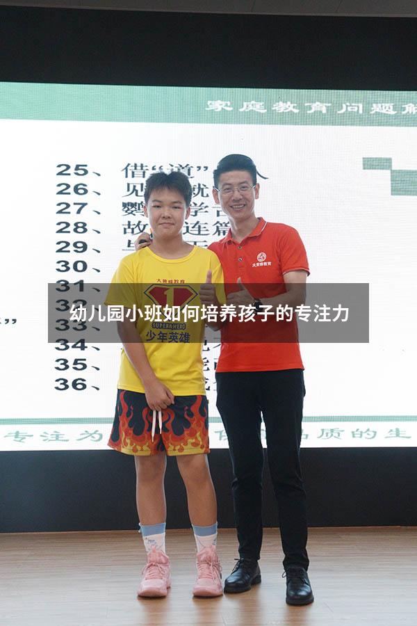 幼儿园小班如何培养孩子的专注力