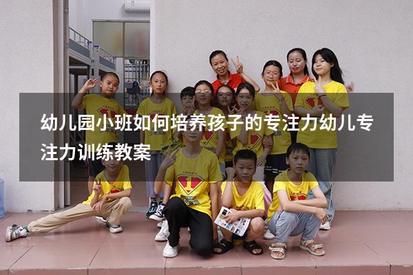 幼儿园小班如何培养孩子的专注力（幼儿专注力训练教案）
