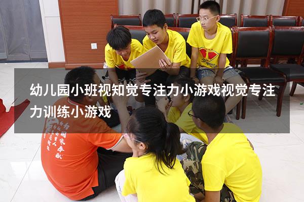 幼儿园小班视知觉专注力小游戏（视觉专注力训练小游戏）