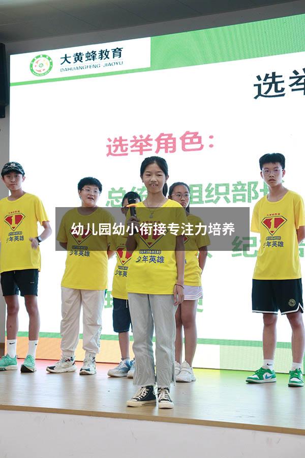 幼儿园幼小衔接专注力培养