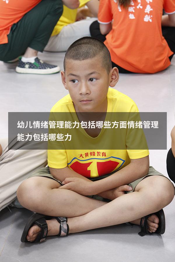 幼儿情绪管理能力包括哪些方面（情绪管理能力包括哪些力）