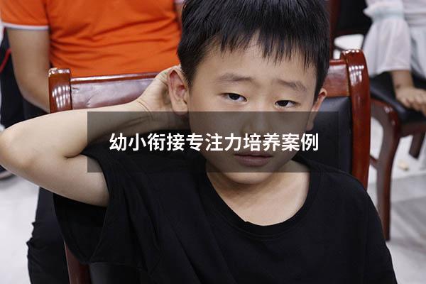 幼小衔接专注力培养案例