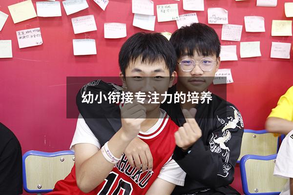 幼小衔接专注力的培养