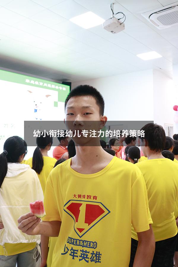 幼小衔接幼儿专注力的培养策略