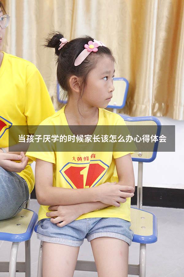 当孩子厌学的时候家长该怎么办心得体会