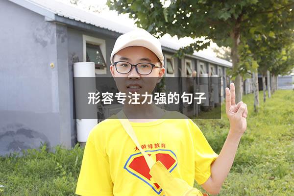 形容专注力强的句子