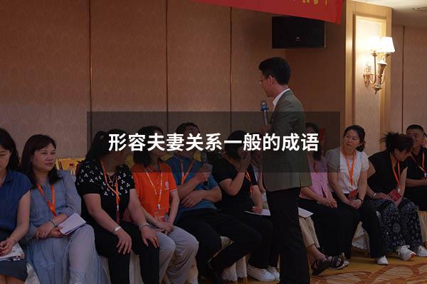 形容夫妻关系一般的成语