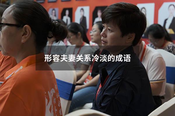 形容夫妻关系冷淡的成语