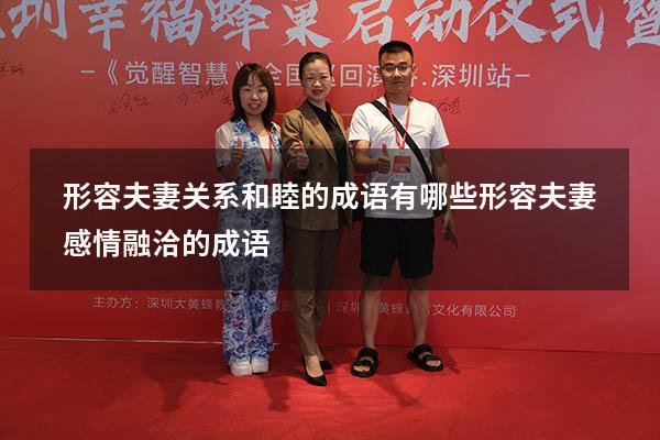 形容夫妻关系和睦的成语有哪些（形容夫妻感情融洽的成语）