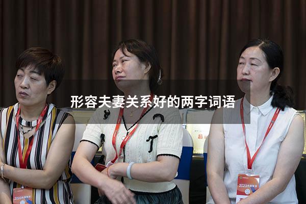 形容夫妻关系好的两字词语