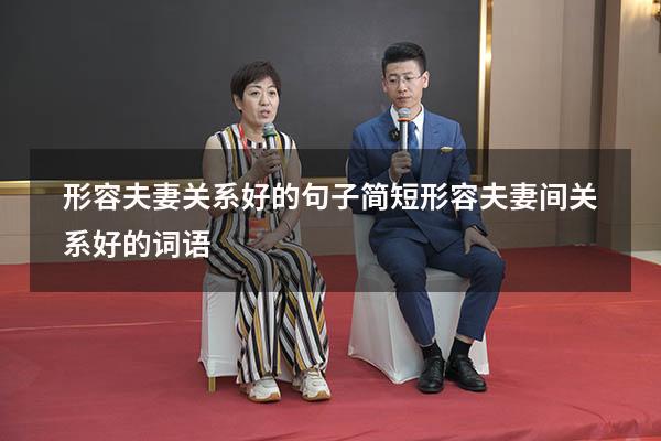 形容夫妻关系好的句子简短（形容夫妻间关系好的词语）