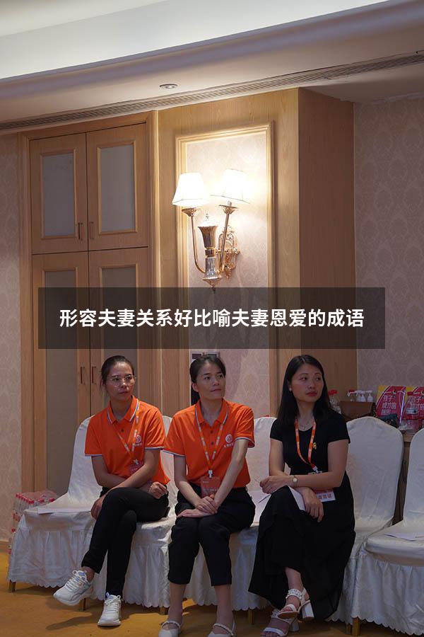 形容夫妻关系好（比喻夫妻恩爱的成语）