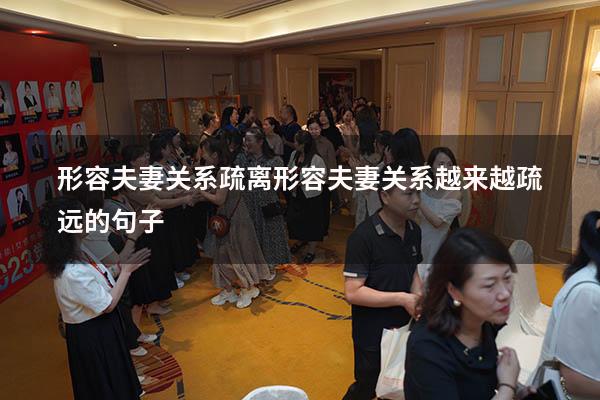 形容夫妻关系疏离（形容夫妻关系越来越疏远的句子）