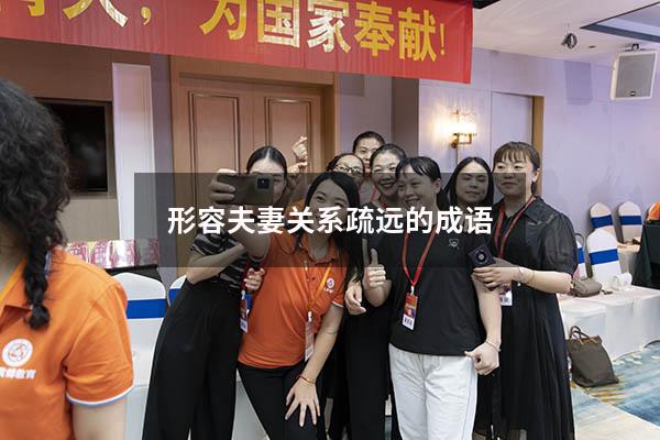 形容夫妻关系疏远的成语
