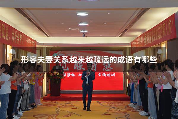 形容夫妻关系越来越疏远的成语有哪些