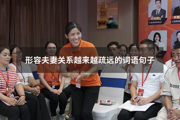 形容夫妻关系越来越疏远的词语句子