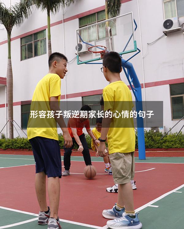 形容孩子叛逆期家长的心情的句子