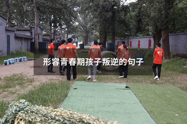 形容青春期孩子叛逆的句子