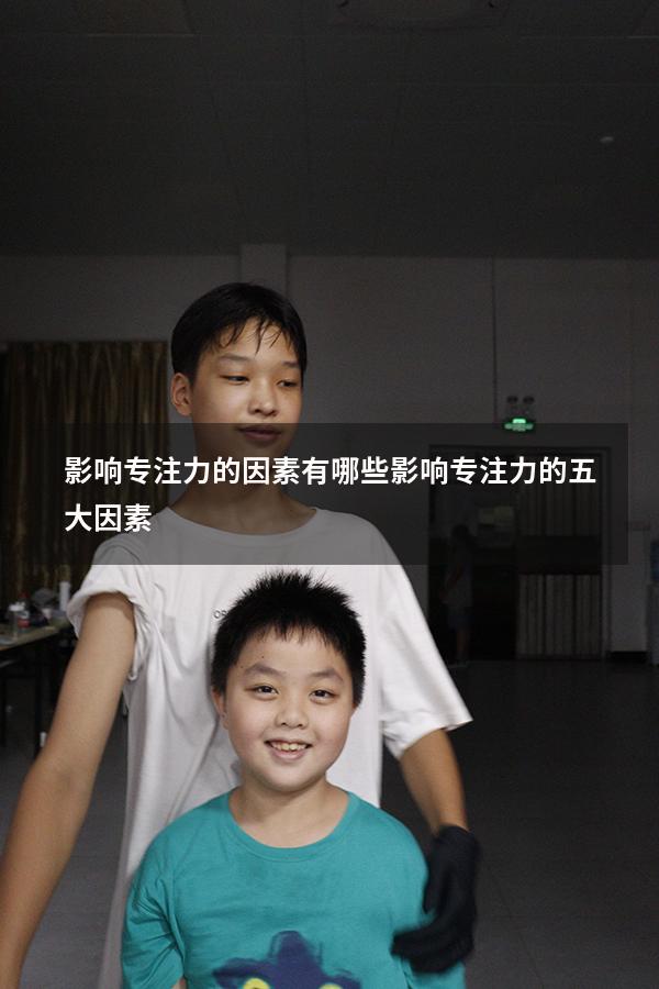 影响专注力的因素有哪些（影响专注力的五大因素）